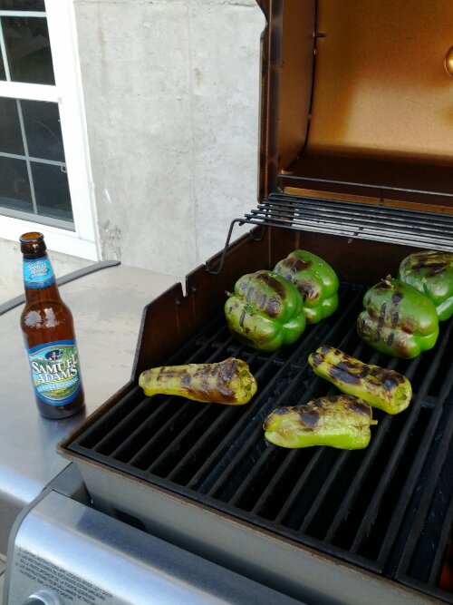 IMG_20120128_163627.jpg image