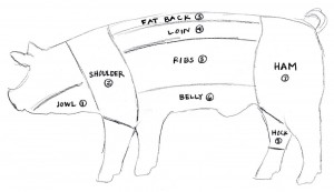 Pig